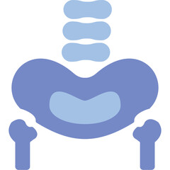 Pelvic Bone Icon