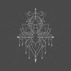 Vector illustration with hand drawn Wasp and Sacred geometric symbol on black background. Abstract mystic sign. White linear shape.