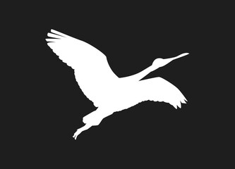 Flying bird of white silhouettes isolated on black background. Fit for logo, symbol, banner, bakcground, tattoo, apparel. Bird element vector. Eps 10