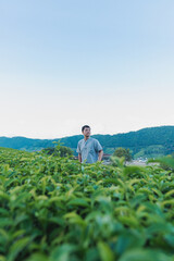 Naklejka na ściany i meble A Man stand alone at green tea plantation for relaxation on vacation