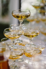 Glasses with champagne are on the table, table setting in a restaurant for a banquet