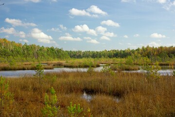 Landscape with dry field, water and forest in the background in the daytime