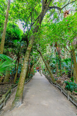 秋の青島神社　宮崎県宮崎市　Aoshima Shrine in autumn. Miyazaki prefecture. Miyazaki city.