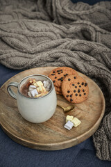 Cup of delicious hot cocoa with marshmallow and cookies