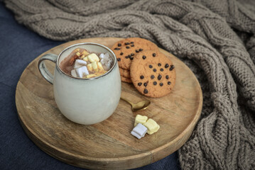 Cup of delicious hot cocoa with marshmallow and cookies