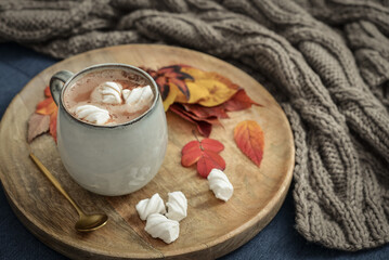 Fototapeta na wymiar hot cocoa with marshmallow and autumn colorful leaves