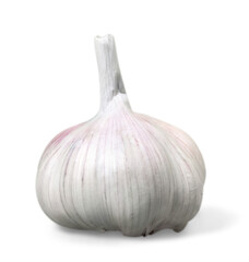 Garlic set isolated on white background