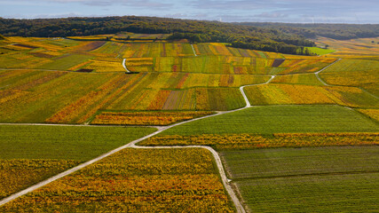 Les vignes de Champagne à l'automne. Photo aérienne.
