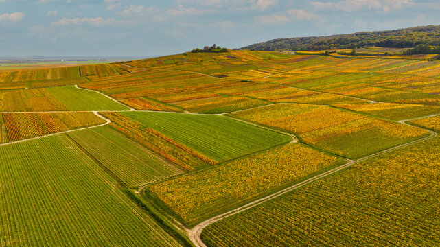 Les vignes de Champagne &agrave; l'automne. Photo a&eacute;rienne.