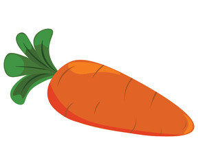 illustration of a carrot