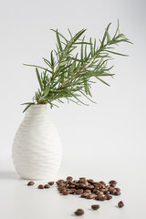 Coffee beans spilled on white with greenery in the background