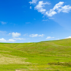 Panoramic view to grass on the hill on sunny summer day.