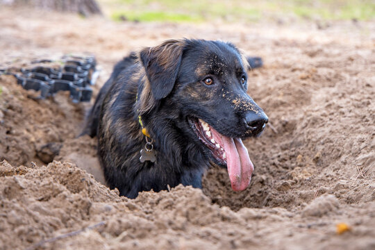 Spelen in het zand