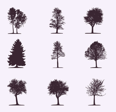 Set of trees 9 pieces