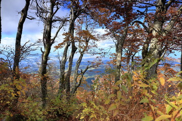Fototapeta premium 鳥取県の伯耆大山中腹から望む紅葉と眼下に広がる米子平野