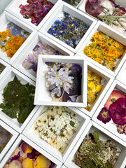 A group of various dried pressed flowers in white box. Basic material for contemporary botanical art. Plants for scrapbooking, wedding invitations, greeting cards, gift box decorations.