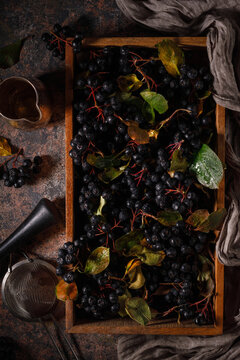fresh black berries in a wooden box. Low key. Drama. Dark photo