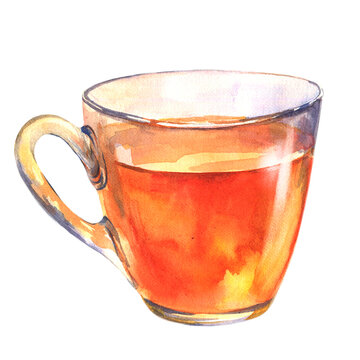 Glass cup of a black tea. Watercolor hand drawn illustration.