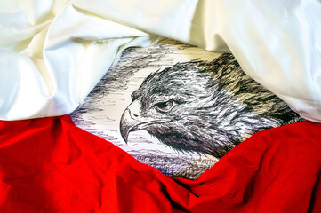 Rysunek orła między białą i czerwoną tkaniną. Symbol Polski. 