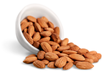 Almond bowl isolated natural green white brown