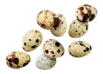 Quail eggs are flying on a white background.