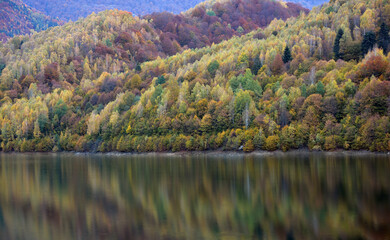 Autumn landscape, birch forest reflection in lake - 542437402