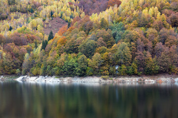 Autumn landscape, birch forest reflection in lake - 542437403