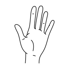 Obraz premium Vector simple hand illustration. Palm raised up. Outline drawing with black line.