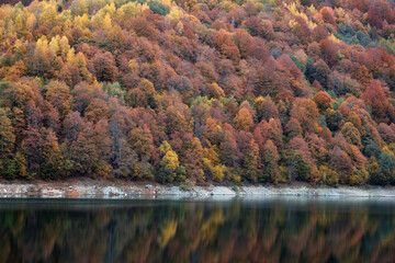 Autumn landscape, forest reflection in lake - 542437416