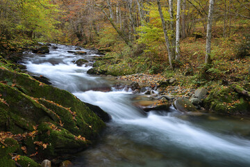 Waterfall flowing through rocks in a deep forest, autumn landscape - 542437448