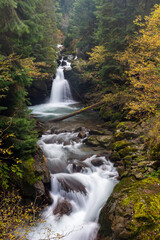 Waterfall flowing through rocks in a deep forest, autumn landscape - 542437497