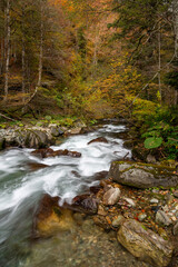 Mountain river flowing in a deep forest - 542437627