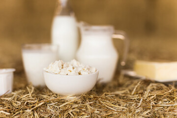 milk, cottage cheese, cream, cheese on table against the background of hay