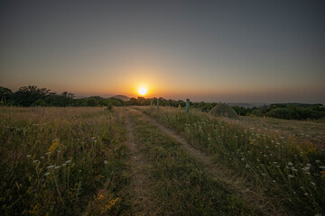 Obraz premium Road to the sun.