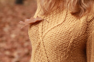 Autumn dry leaf on a sweater