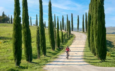 Rollo Toscane nice senior woman riding her electric mountain bike in a cypress avenue in the Chianti area near Pienza, Tuscany , Italy