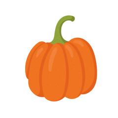Bright pumpkin vegetable illustration isolated. - 542439670