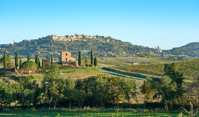 Fototapeta na wymiar tuscan Landscape with cypress and olive trees and city of Montepulcian in background