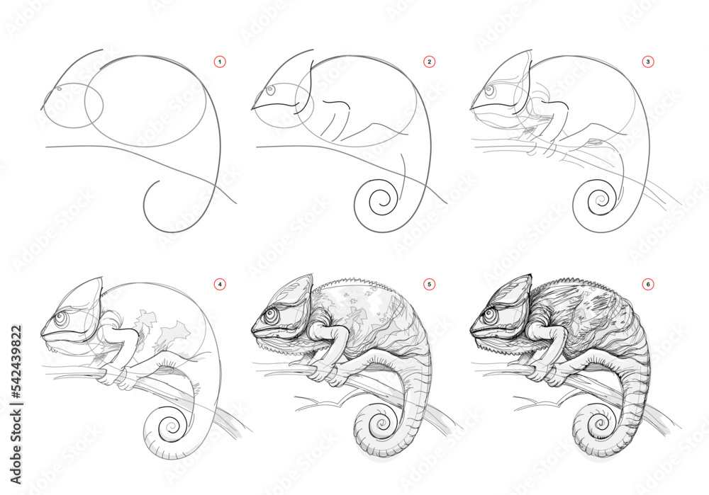 Wall mural page shows how to learn to draw sketch of chameleon. creation step by step pencil drawing. education