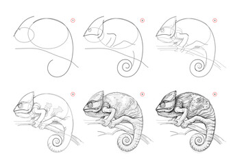 Page shows how to learn to draw sketch of chameleon. Creation step by step pencil drawing. Educational page for artists. Textbook for developing artistic skills. online education. vector image. © nataljacernecka
