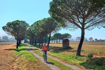 nice senior woman riding her electric mountain bike in an old cypress tree avenue in the Casentino...