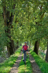 Obraz premium nice senior woman riding her electric mountain bike in an old oak tree avenue in the Casentino area near Arezzo,Tuscany , Italy 