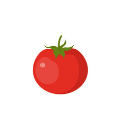 Vector illustration of fresh tomato. - 542440627