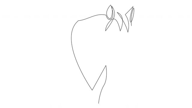 Animated self drawing continuous line elegant horse head for company logo identity. Full length animation of one line illustration.