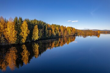 Lake with an autumn forest at the shore at soft sunlight