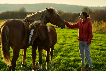 Young happy woman stroking a horse foal in green field at sunset. peopel and pets concept