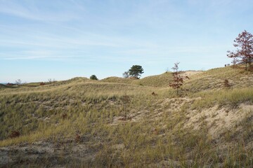 Beautiful shot of a dry field under a blue sky