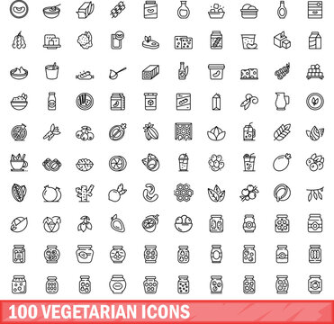 100 vegetarian icons set. Outline illustration of 100 vegetarian icons vector set isolated on white background