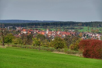 Fernblick auf Neuhausen im Enzkreis mit Wiesen und Obstb&auml;umen im Vordergrund und Wald am Horizont
