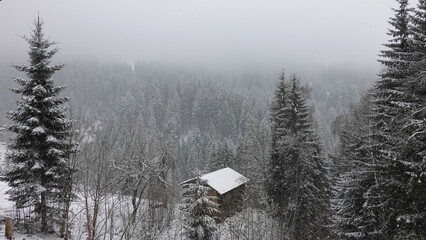 Fototapeta na wymiar Schneegestöber in den Bergen